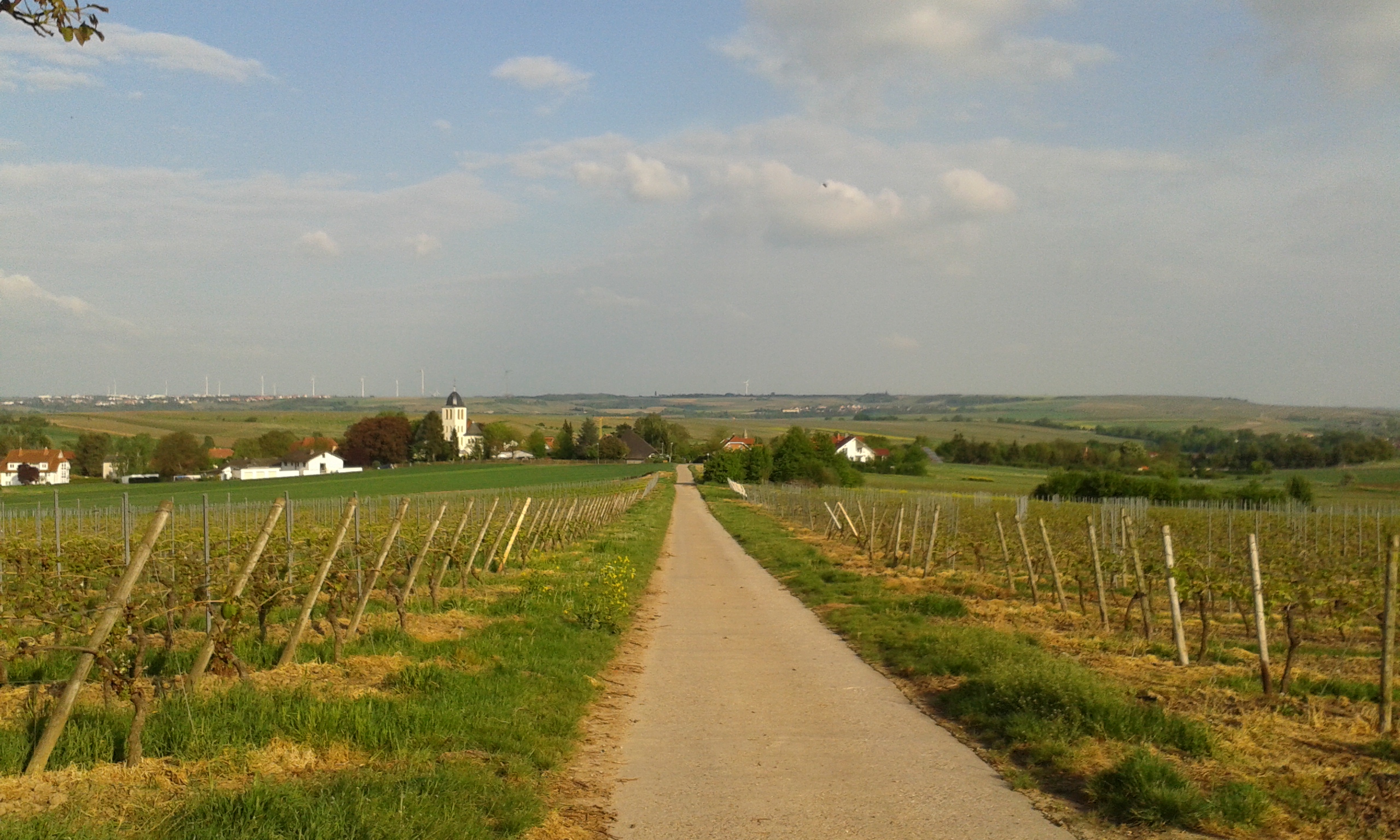 the road ahead the road ahead