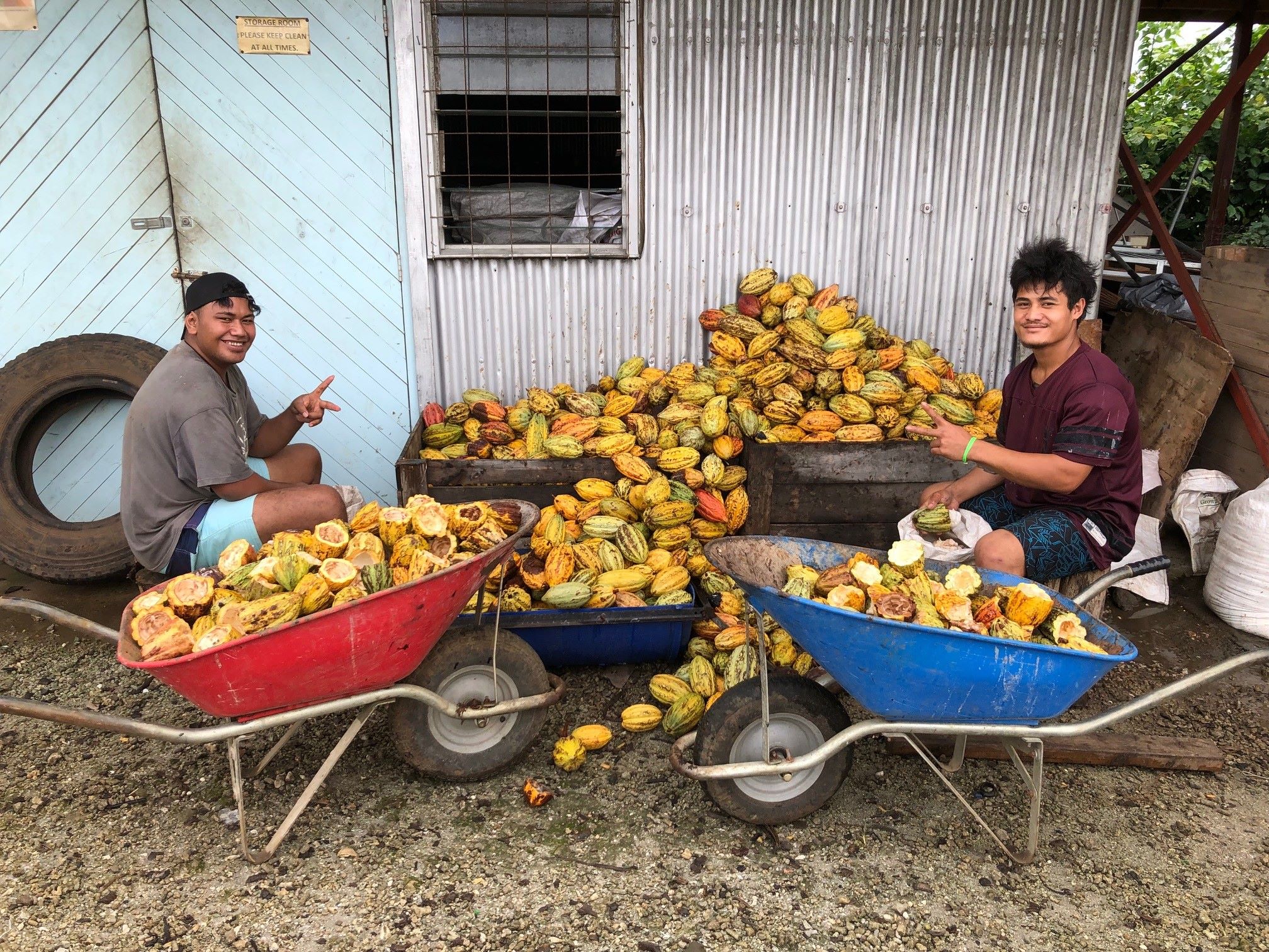 cocoa boys cocoa boys